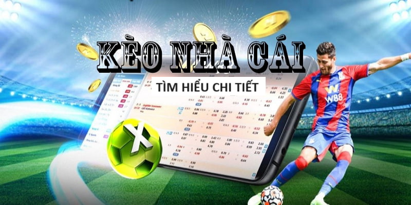 Các bước để sử dụng tiền thưởng và đăng ký tài khoản chơi trong nhà cái đáng tin cậy Các bước để sử dụng tiền thưởng và đăng ký tài khoản chơi trong nhà cái đáng tin cậy